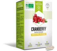 Parapharmacie en ligne > Compléments alimentaires > Compléments alimentaires pour le système urinaire Dayang Cranberry Bio Gélules x 15