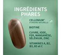 Parapharmacie en ligne > Compléments alimentaires > Compléments alimentaires pour les cheveux, la peau et les ongles Richelet Cheveux Peaux Ongles Capsulesx 30