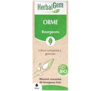 HerbalGem Macérât-mère Orme Bio – 30 ml