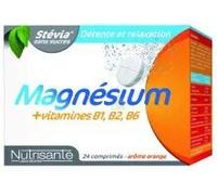 Nutrisanté Magnésium + Vitamines B1 B2 B6 Comprimés Effervescents 2x12 pc(s)
