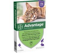 Parapharmacie > Vétérinaire > Anti-parasites Advantage Chat 4 kg et plus x 4 - Anti-parasites - Pharmacie en ligne LaSante.net