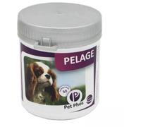 Pet PHOS Pelage Chien - Pelage Sec, terne et abîmé - Chute abondante des Poils - Période de mue - Préparation aux Concours et expositions.