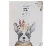 Parapharmacie > Vétérinaire Color Pop Étui Carnet de Santé Animaux