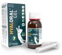 Parapharmacie > Vétérinaire > Produits pour le Bien-Être Animal > Compléments contre l'arthrose des animaux > Compléments contre l'arthrose du chien Pharmadiet Hyaloral Gel Oral 50 ml - Arthrose chien
