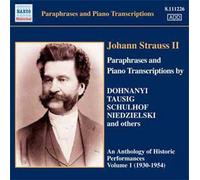 Paraphrases And Piano Transcription Vol. 1