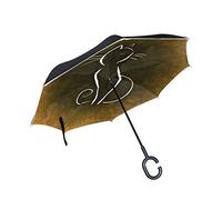 parapluie invers¨¦ Parapluie double couche Construction invers¨¦e Parapluie pliable pour une utilisation de voiture, poign¨¦e en forme parapluie Chat assis sur une pierre Parapluie pour homme et femme