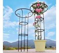 Parapluie Obélisque Jardin Escalade：Durable Métal Plante Support for Fleurs, Légumes et Fruits (210cm/82.7in)(A-65x25cm/25.6x9.8in)