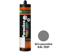 Parasilico AX Prestige Colour T DL Chemicals - Gris poussière RAL 7037