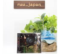 Square Enix - Jeu vidéo Parasite Eve I - Re-Issue