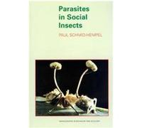 Parasites In Social Insects