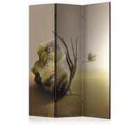 Paravent 3 Volets "Abandoned Mask" 135x172cm G