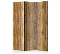 Paravent 3 volets - Amazonian Wall [Room Dividers] - 135x172 Artgeist (38174)