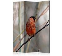 Paravent 3 Volets "Bullfinch in the Forest" 135x172cm