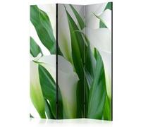Paravent 3 volets - bunch of flowers - callas [Room Dividers] - 135x172 Artgeist (38510)