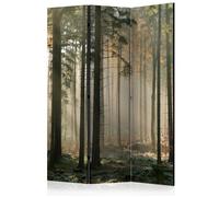 Paravent 3 Volets "Foggy November Morning" 135x172cm