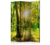 Paravent 3 Volets "Forest Rays" 135x172cm
