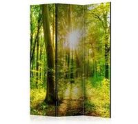 Paravent 3 Volets "Forest Rays" 135x172cm