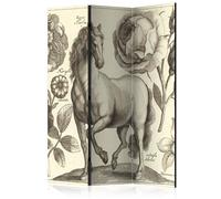 Paravent 3 Volets "Horse" 135x172cm