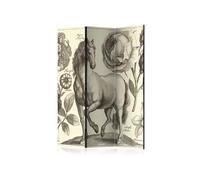 Paravent 3 Volets "Horse" 135x172cm