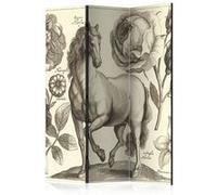 Paravent 3 volets Horse-Taille L 135 x H 172 cm G
