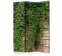 Paravent 3 Volets "Ivy Wall" 135x172cm