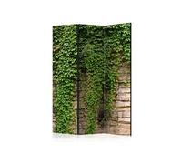 Paravent 3 Volets "Ivy Wall" 135x172cm