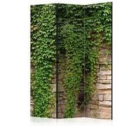 Paravent 3 volets - Ivy wall [Room Dividers] - 135x172 Artgeist (39390)