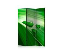 Paravent 3 Volets "Leaf & Three Drops of Water" 135x172cm