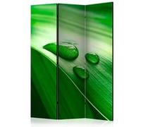 Paravent 3 Volets "Leaf & Three Drops of Water" 135x172cm Multicolore G