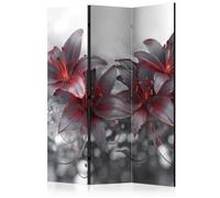 Paravent 3 Volets "Shadow of Passion" 135x172cm