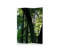 Paravent 3 volets - Spring in the Park [Room Dividers] - 135x172 Artgeist (40286)