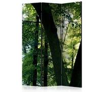 Paravent 3 volets - Spring in the Park [Room Dividers] - 135x172 Artgeist (40286) G