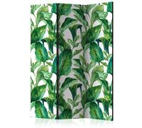 Paravent 3 Volets "Tropical Paradise II" 135x172cm