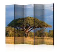 Paravent 5 Volets "African Acacia Tree, Hwange National Park, Zimbabwe" 172x225c