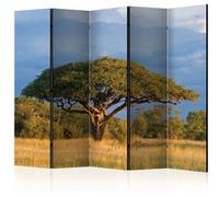Paravent 5 Volets "African Acacia Tree, Hwange National Park, Zimbabwe" 172x225c
