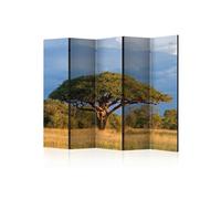 Paravent 5 Volets "African Acacia Tree, Hwange National Park, Zimbabwe" 172x225c