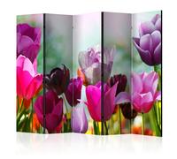 Paravent 5 Volets "Beautiful Tulips" 172x225cm