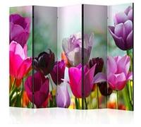 Paravent 5 Volets "Beautiful Tulips" 172x225cm