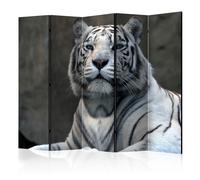 Paravent 5 volets - Bengali tiger in zoo II [Room Dividers] - 225x172 (38337)