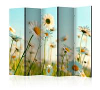 Paravent 5 Volets "Daisies Spring Meadow II" 172x225cm