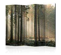 Paravent 5 Volets "Foggy November Morning" 172x225cm