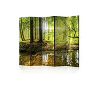 Paravent 5 volets Forest Lake II-Taille 225 x 172 cm