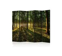 Paravent 5 Volets "Morning in the Forest" 172x225cm