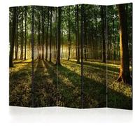 Paravent 5 Volets "Morning in the Forest" 172x225cm G