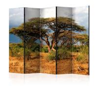 Paravent 5 Volets "Samburu National Reserve, Kenya" 172x225cm