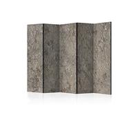 Paravent 5 volets Silver Serenade II-Taille 225 x 172 cm