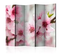 Paravent 5 Volets "Spring Blooming Tree Pink Flowers" 172x225cm