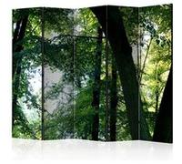 Paravent 5 Volets "Spring in the Park" 172x225cm Multicolore G