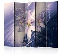 Paravent 5 Volets "Wintry Galaxy" 172x225cm