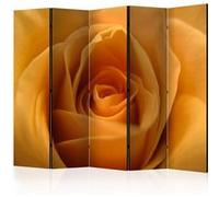 Paravent 5 Volets "Yellow Rose - a Symbol of Friendship" 172x225cm Multicolore G